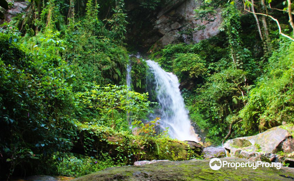 Ikogosi Warm Water Spring